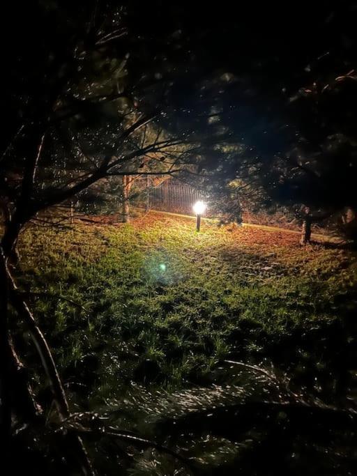 Vila Dom Male Mazury Drozdowo Exteriér fotografie