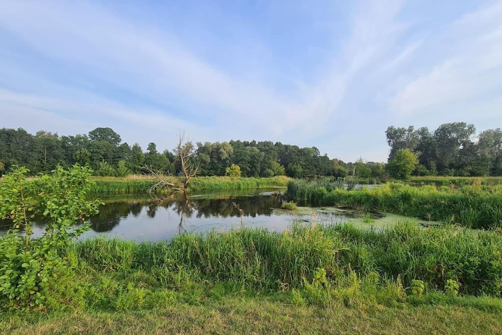 Vila Dom Male Mazury Drozdowo Exteriér fotografie